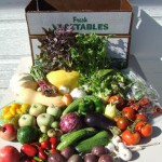 CSA boxes - a great way to enjoy the gift of fresh produce every week!