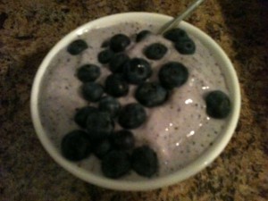 blueberry protein ice cream